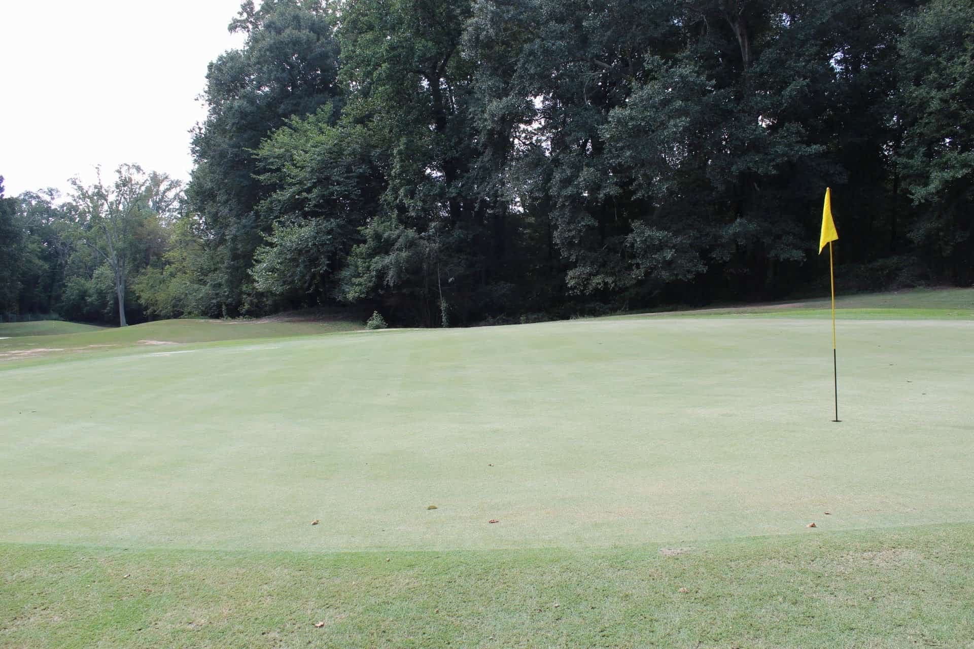 2026 We C.A.R.E. Community Golf Tournament