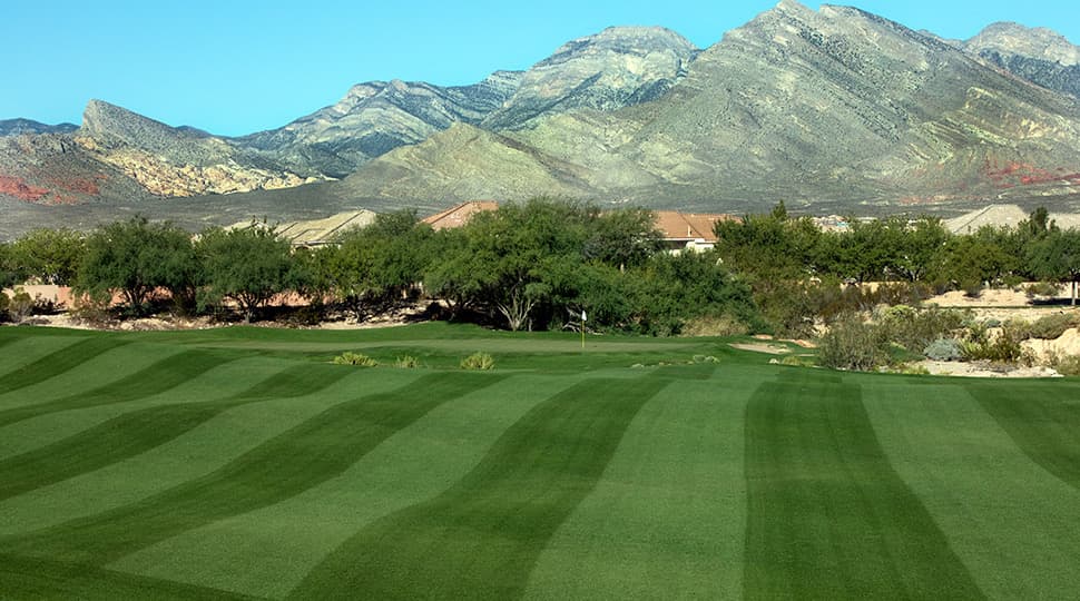LVHA 39th Golf Tournament